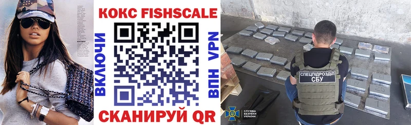 купить наркотики цена  Питкяранта  Cocaine Fish Scale 