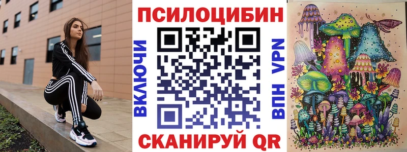 Псилоцибиновые грибы Cubensis  Питкяранта 
